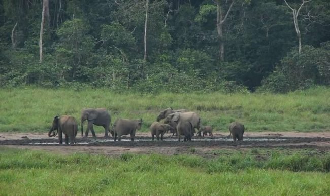 856261307_d501ff70c4_c